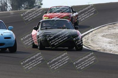 media/Feb-22-2025-CalClub SCCA (Sat) [[57201885c5]]/Group Two/Group 2B/